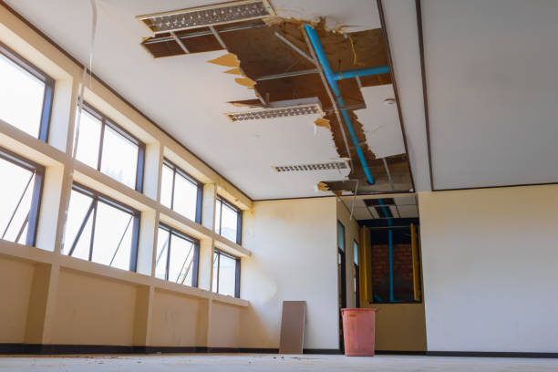 Best 24/7 water damage repair  in Paris, IL