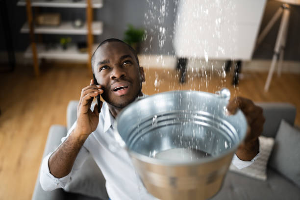 Best Local water damage restoration  in Paris, IL