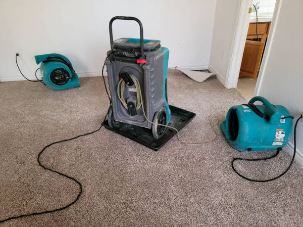 Best 24/7 water damage repair  in Paris, IL