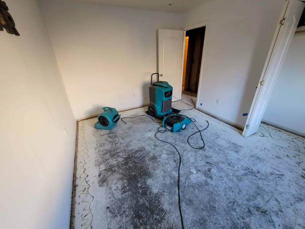 Best Professional water damage repair  in Paris, IL