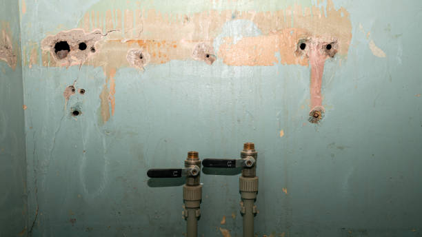 Best Flood damage cleanup  in Paris, IL