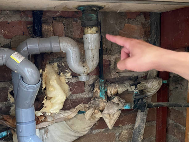 Best Mold removal after water damage  in Paris, IL